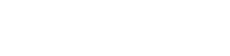 5 Dimensions Logo white